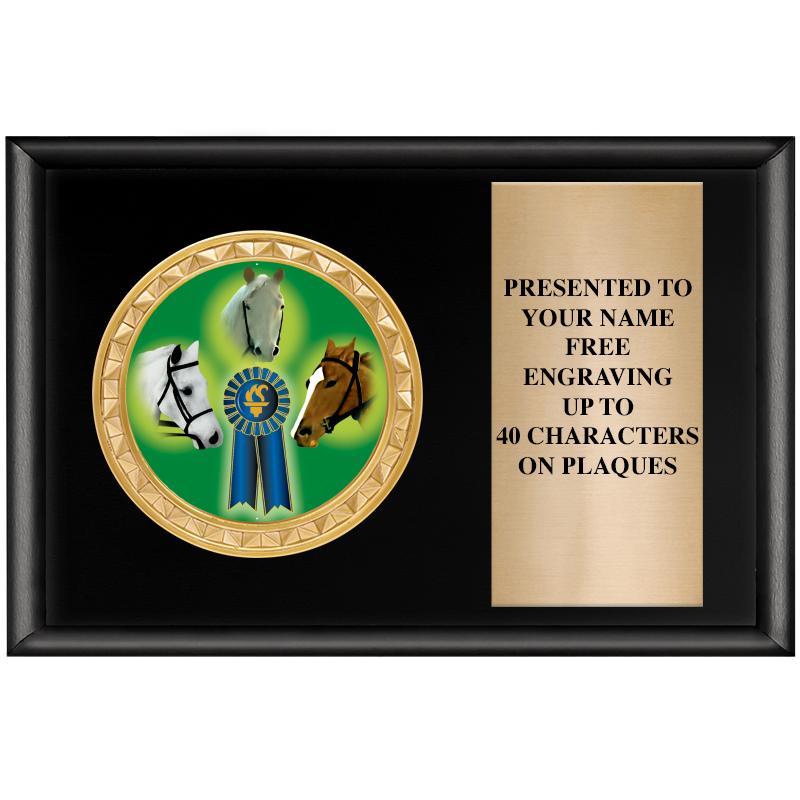 6" X 4" SHINY BLK INSERT PLQ