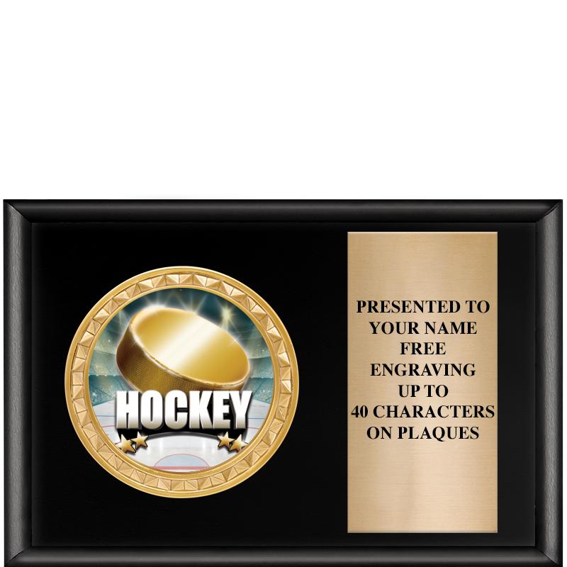 6" X 4" SHINY BLK INSERT PLQ