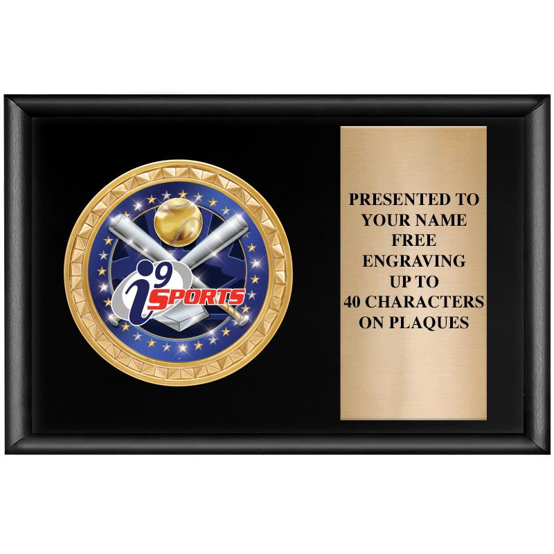 6" X 4" SHINY BLK INSERT PLQ