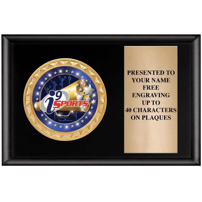 6" X 4" SHINY BLK INSERT PLQ