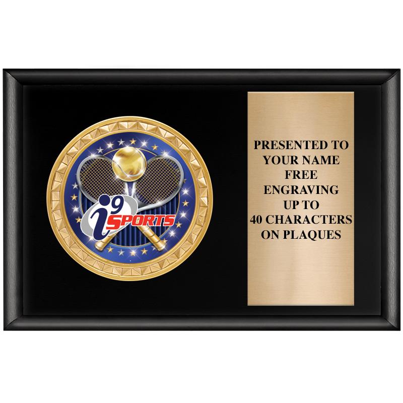 6" X 4" SHINY BLK INSERT PLQ