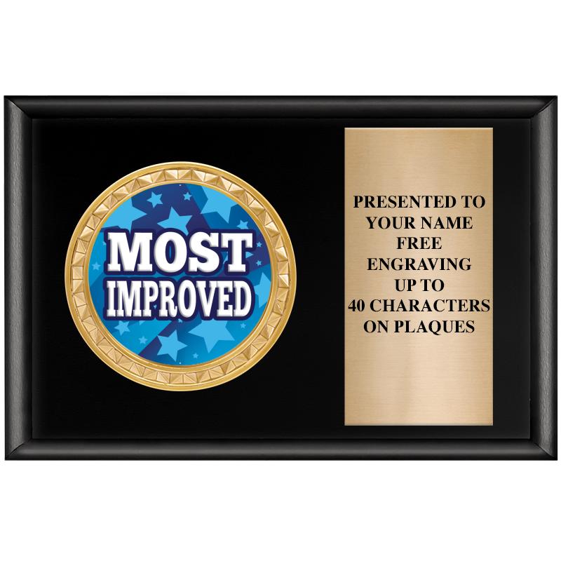 6" X 4" SHINY BLK INSERT PLQ