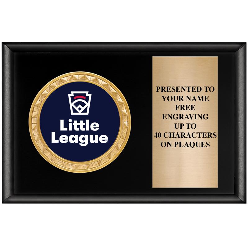 6" X 4" SHINY BLK INSERT PLQ