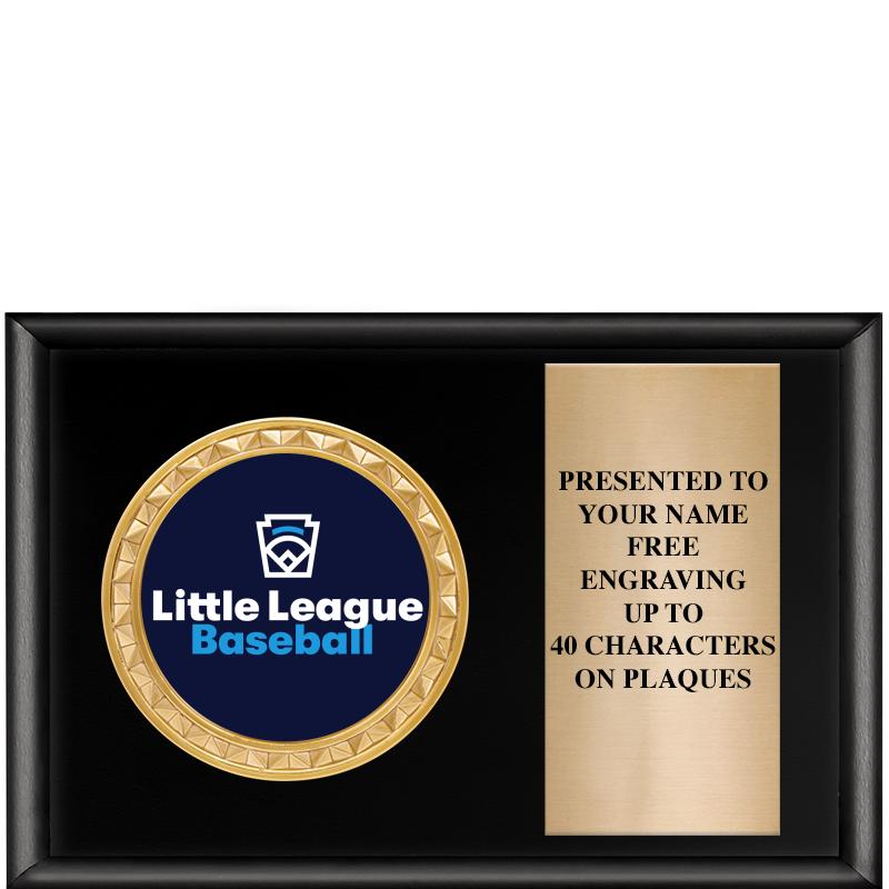 6" X 4" SHINY BLK INSERT PLQ