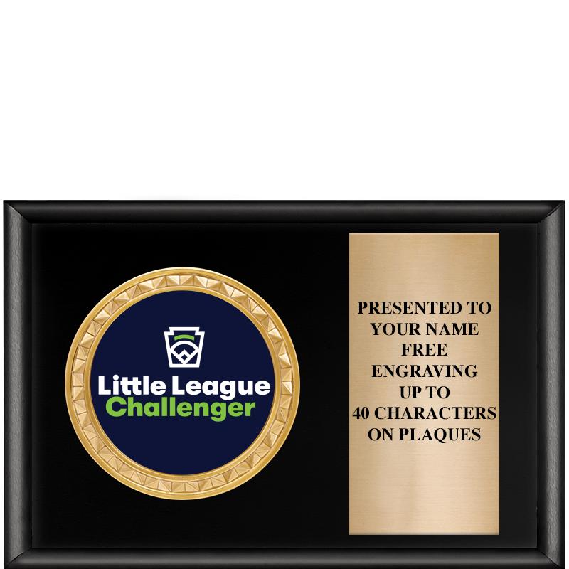 6" X 4" SHINY BLK INSERT PLQ