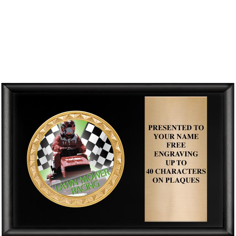 6" X 4" SHINY BLK INSERT PLQ