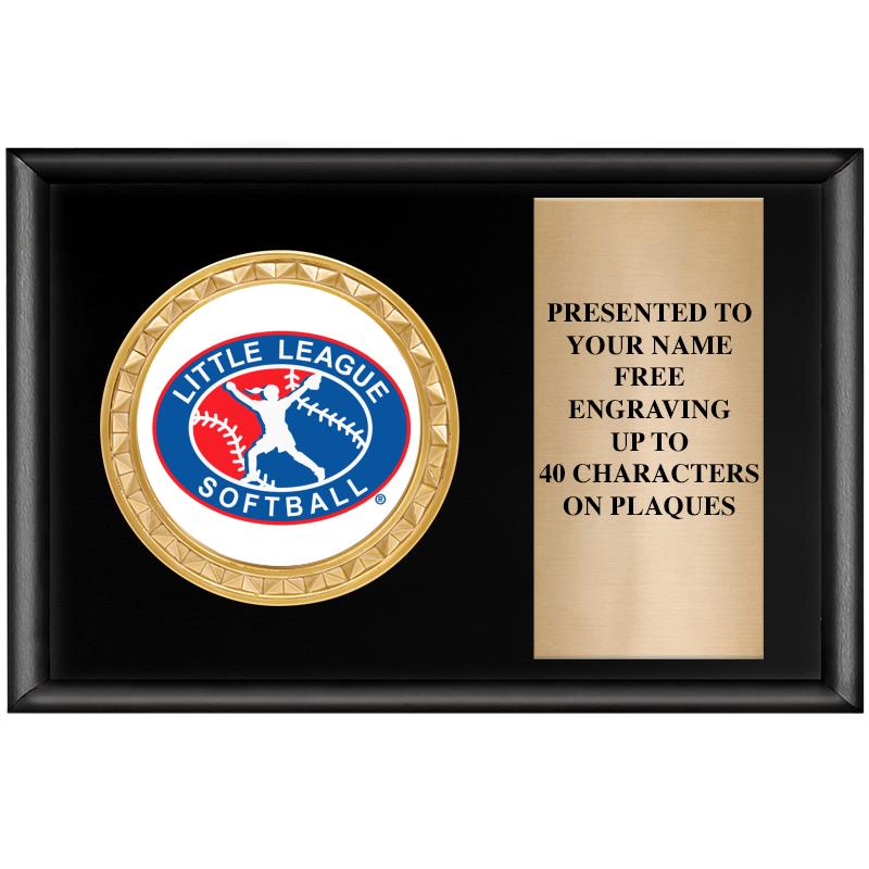 6" X 4" SHINY BLK INSERT PLQ