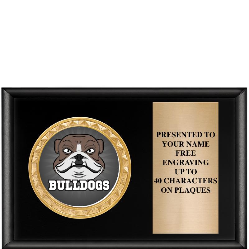 6" X 4" SHINY BLK INSERT PLQ