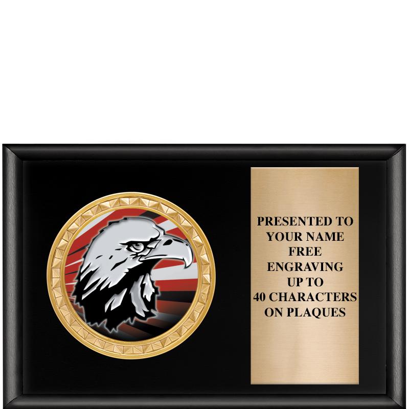 6" X 4" SHINY BLK INSERT PLQ