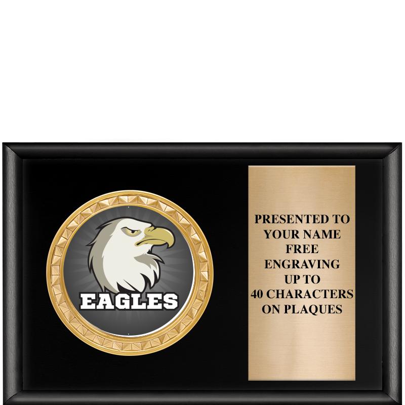 6" X 4" SHINY BLK INSERT PLQ