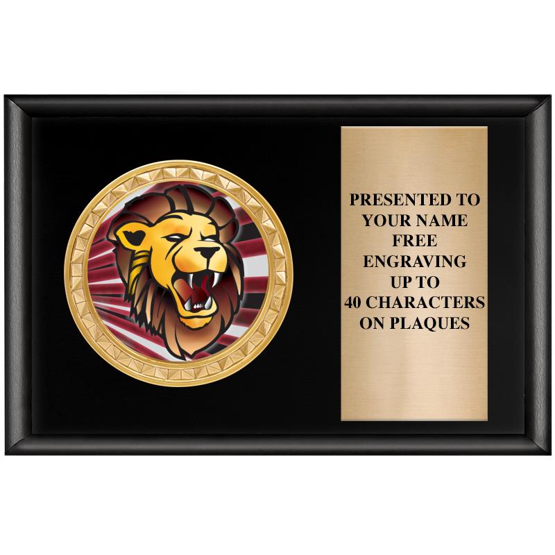 6" X 4" SHINY BLK INSERT PLQ