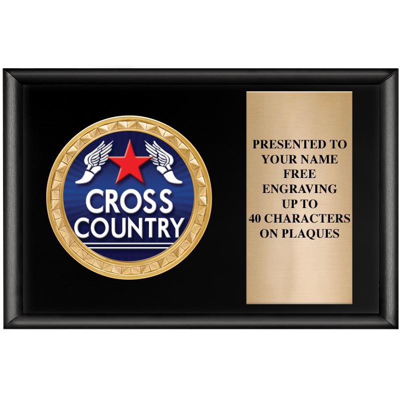 6" X 4" SHINY BLK INSERT PLQ