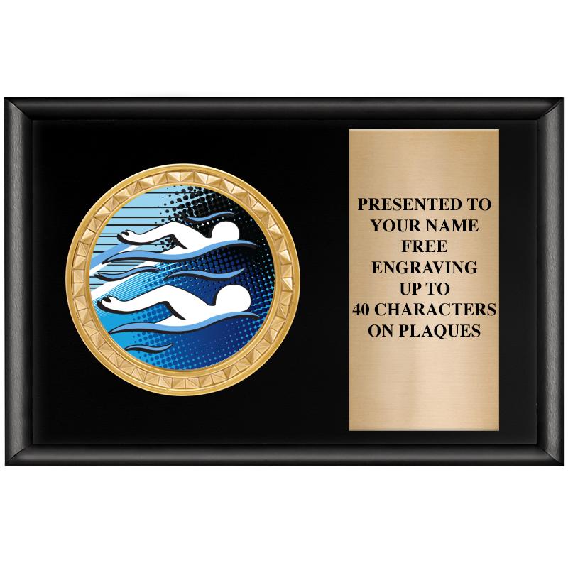 6" X 4" SHINY BLK INSERT PLQ