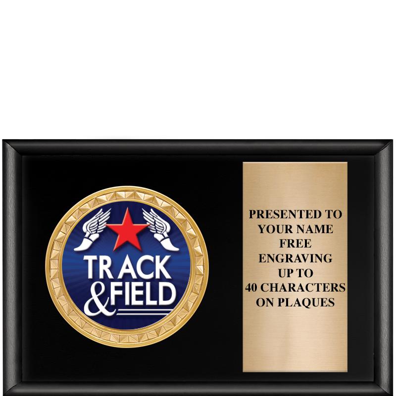 6" X 4" SHINY BLK INSERT PLQ