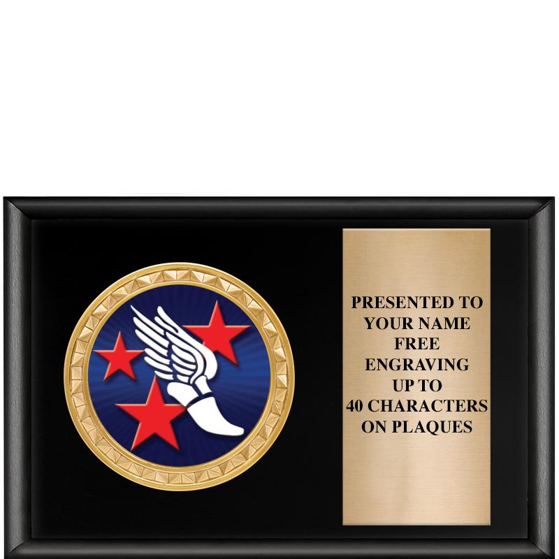 6" X 4" SHINY BLK INSERT PLQ