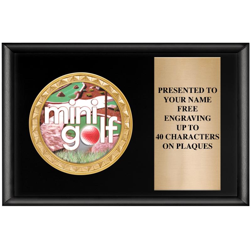 6" X 4" SHINY BLK INSERT PLQ