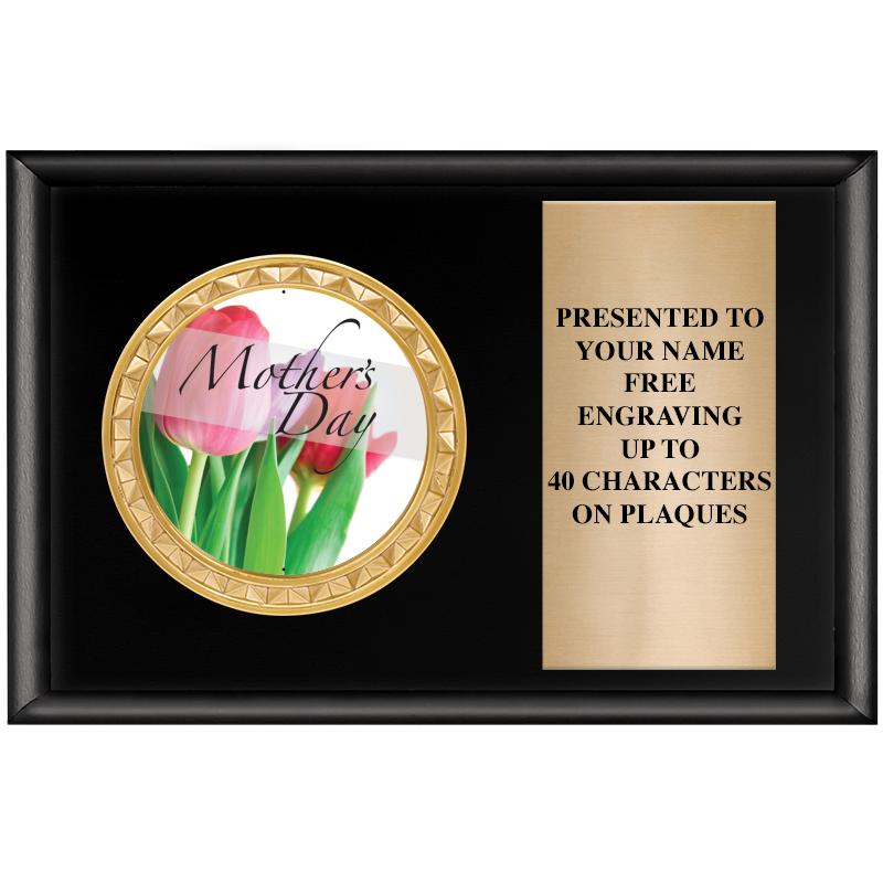 6" X 4" SHINY BLK INSERT PLQ