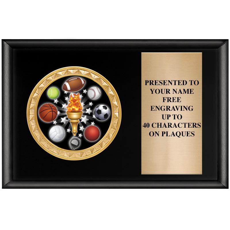 6" X 4" SHINY BLK INSERT PLQ