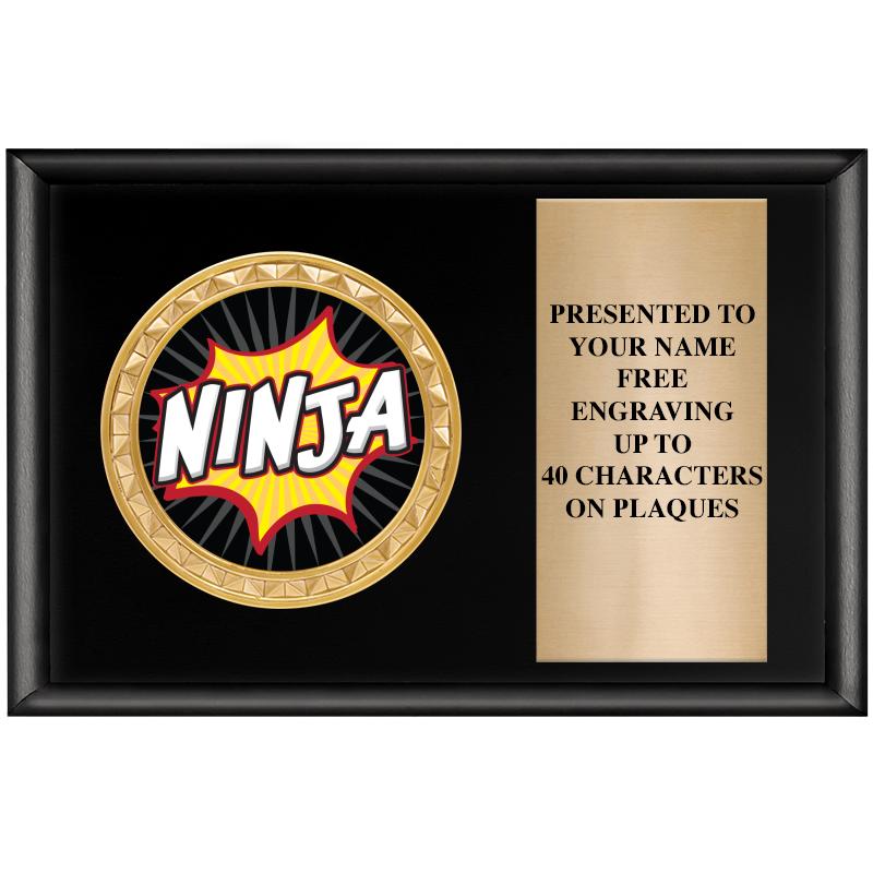 6" X 4" SHINY BLK INSERT PLQ