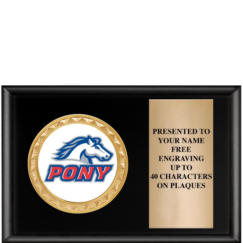 6" X 4" SHINY BLK INSERT PLQ