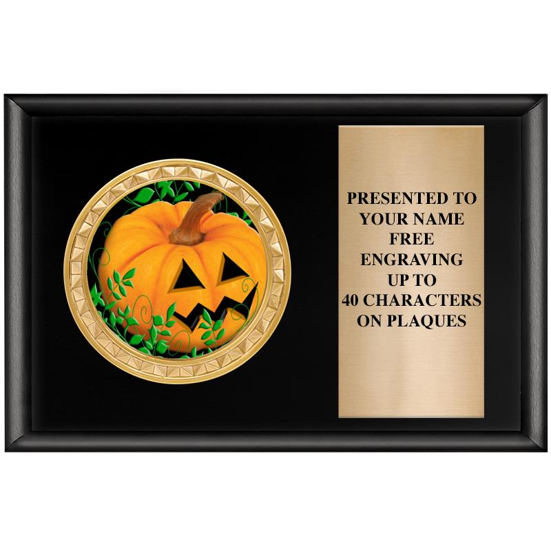 6" X 4" SHINY BLK INSERT PLQ