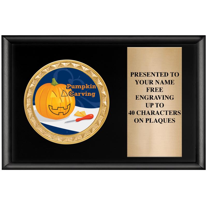 6" X 4" SHINY BLK INSERT PLQ