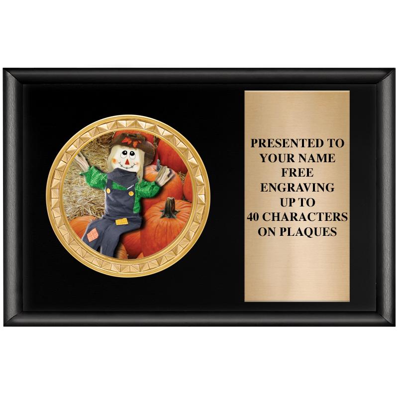 6" X 4" SHINY BLK INSERT PLQ