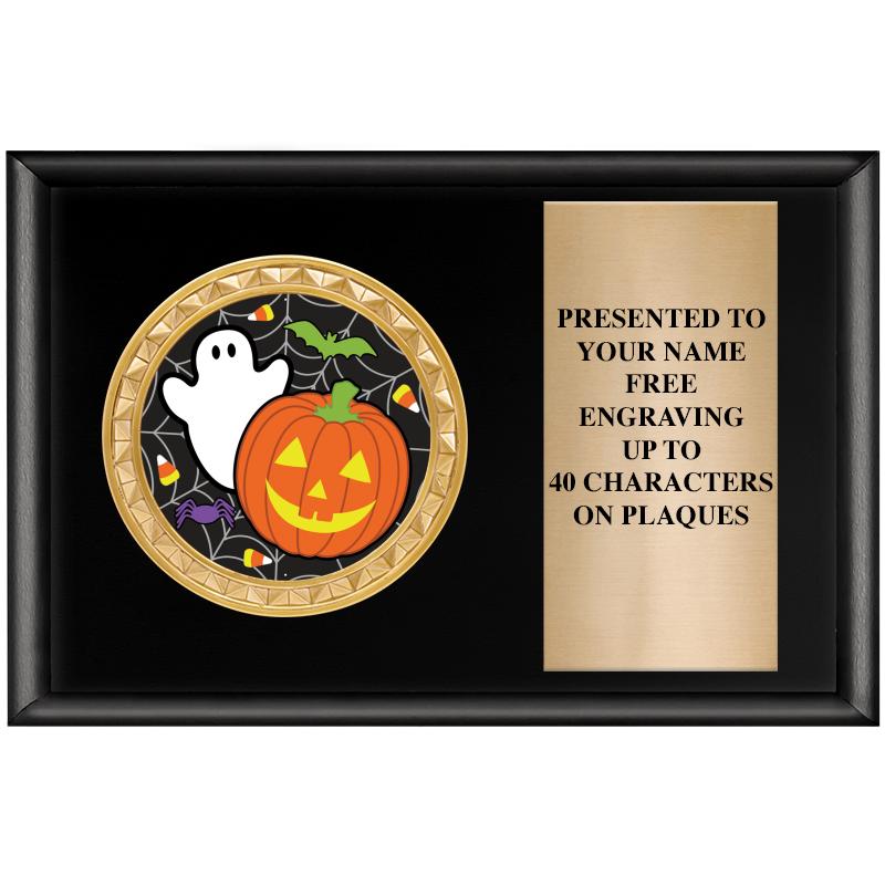 6" X 4" SHINY BLK INSERT PLQ