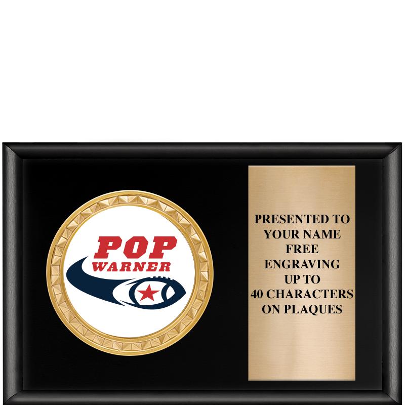 6" X 4" SHINY BLK INSERT PLQ