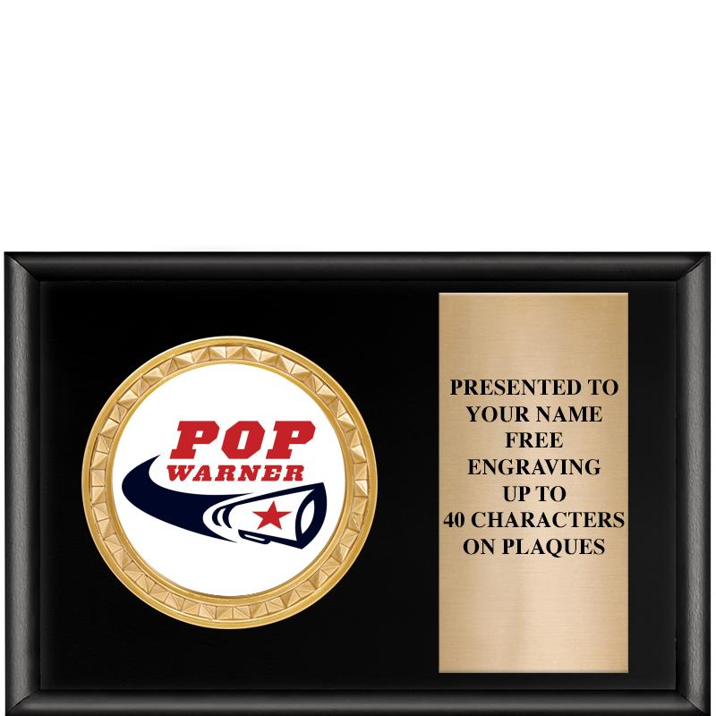 6" X 4" SHINY BLK INSERT PLQ