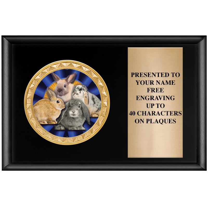 6" X 4" SHINY BLK INSERT PLQ