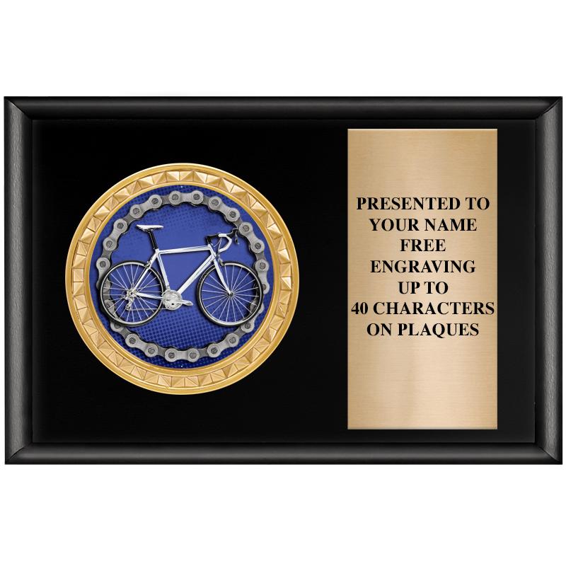 6" X 4" SHINY BLK INSERT PLQ