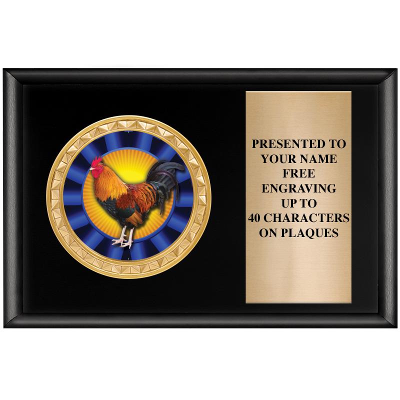 6" X 4" SHINY BLK INSERT PLQ