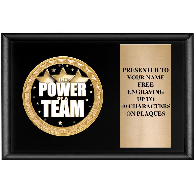 6" X 4" SHINY BLK INSERT PLQ