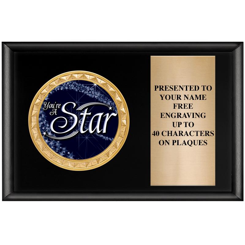 6" X 4" SHINY BLK INSERT PLQ