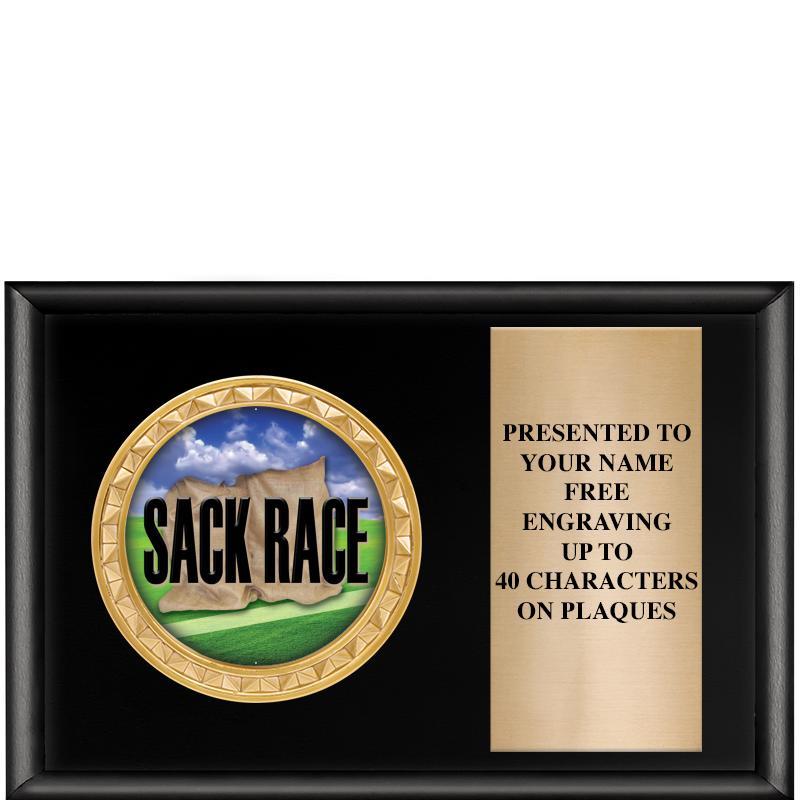 6" X 4" SHINY BLK INSERT PLQ