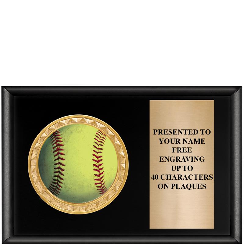 6" X 4" SHINY BLK INSERT PLQ