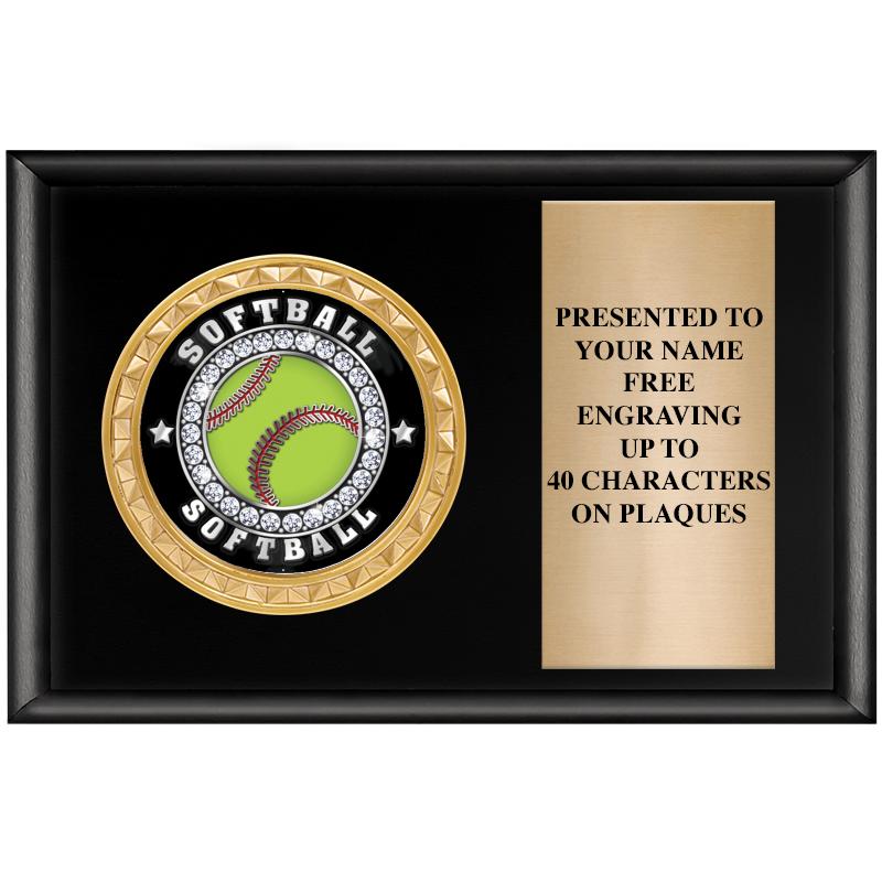 6" X 4" SHINY BLK INSERT PLQ