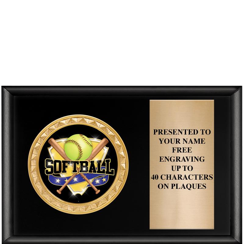 6" X 4" SHINY BLK INSERT PLQ