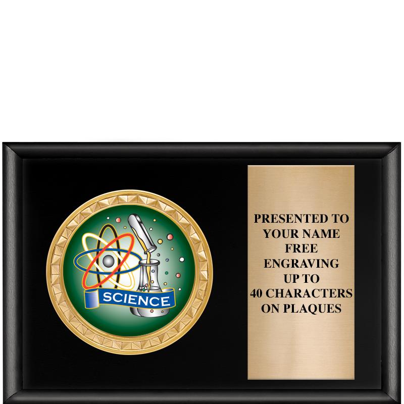 6" X 4" SHINY BLK INSERT PLQ