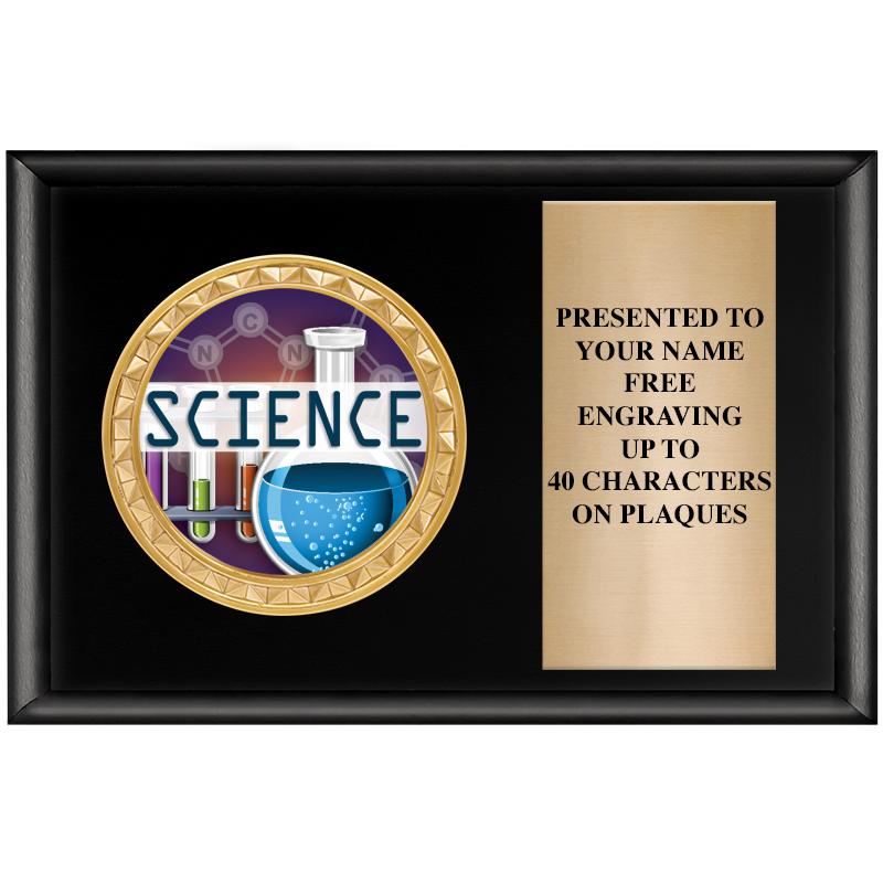 6" X 4" SHINY BLK INSERT PLQ