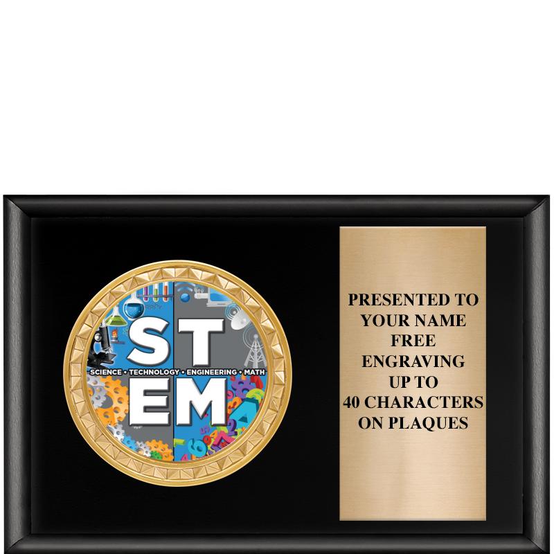 6" X 4" SHINY BLK INSERT PLQ