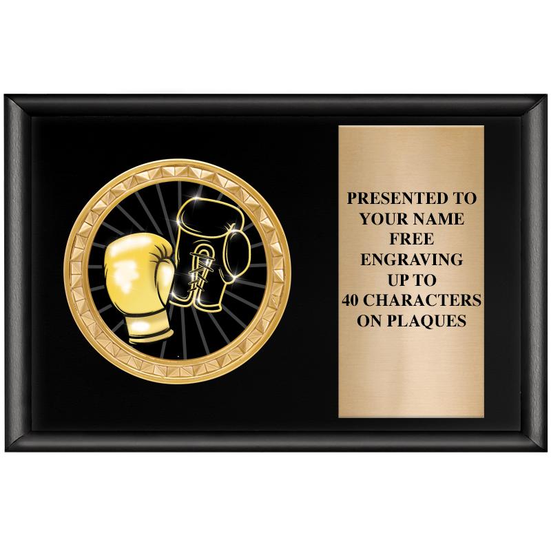 6" X 4" SHINY BLK INSERT PLQ