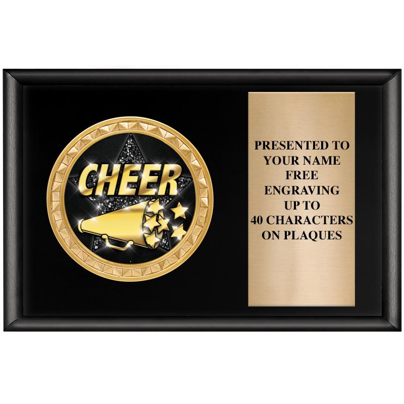 6" X 4" SHINY BLK INSERT PLQ