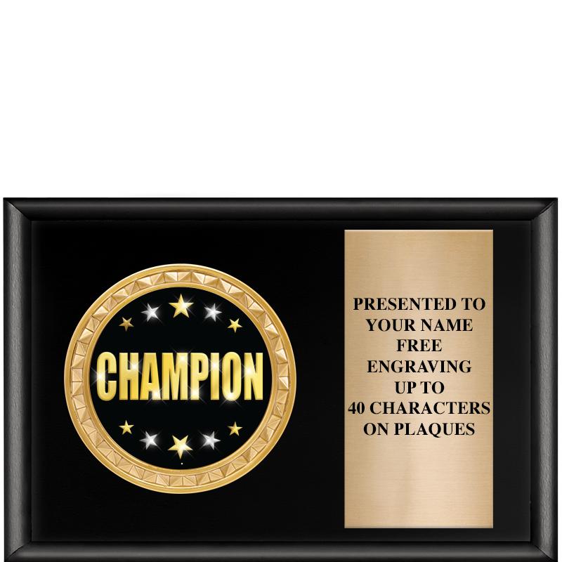 6" X 4" SHINY BLK INSERT PLQ