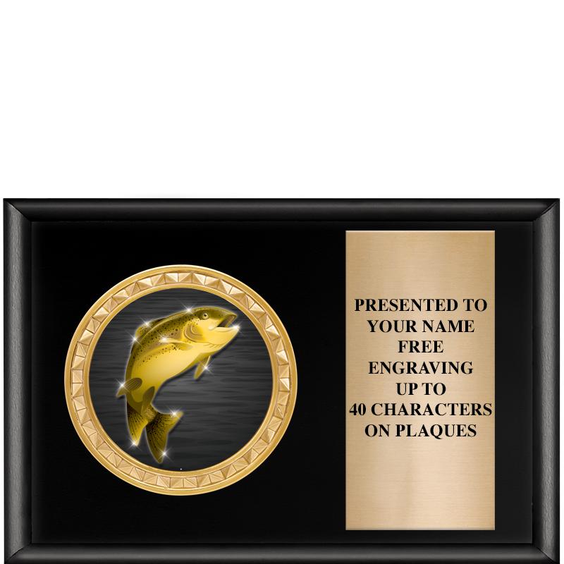 6" X 4" SHINY BLK INSERT PLQ