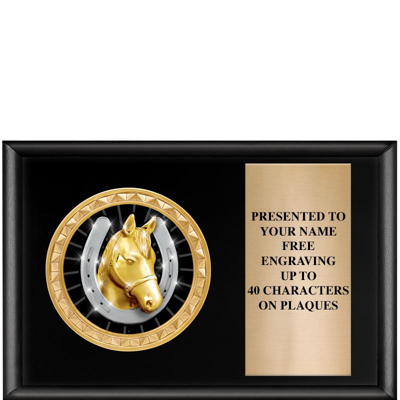 6" X 4" SHINY BLK INSERT PLQ