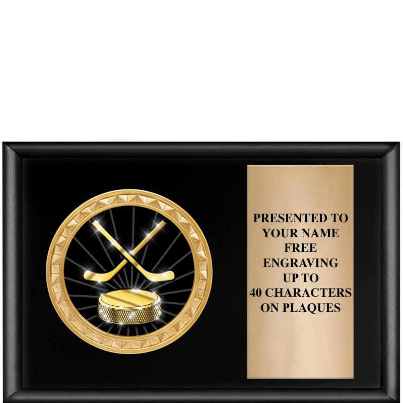 6" X 4" SHINY BLK INSERT PLQ