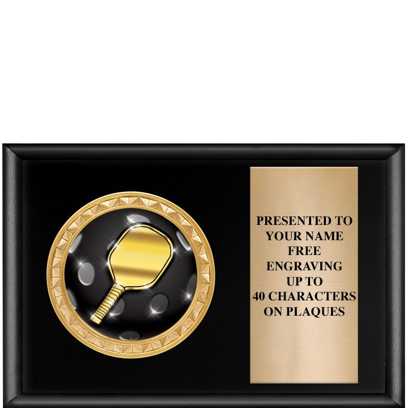 6" X 4" SHINY BLK INSERT PLQ