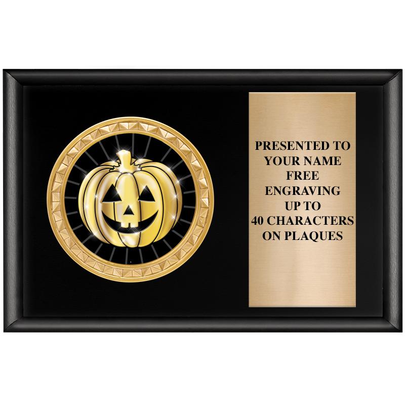 6" X 4" SHINY BLK INSERT PLQ